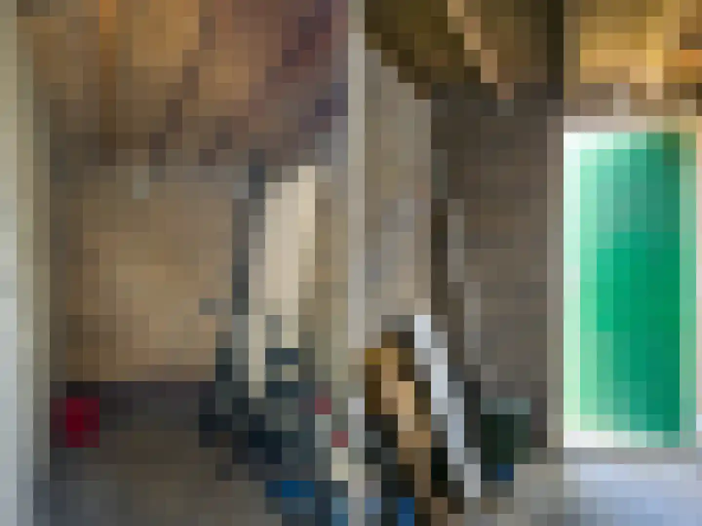 Hoge Bothofstraat 60 B Enschede thumbnail 45