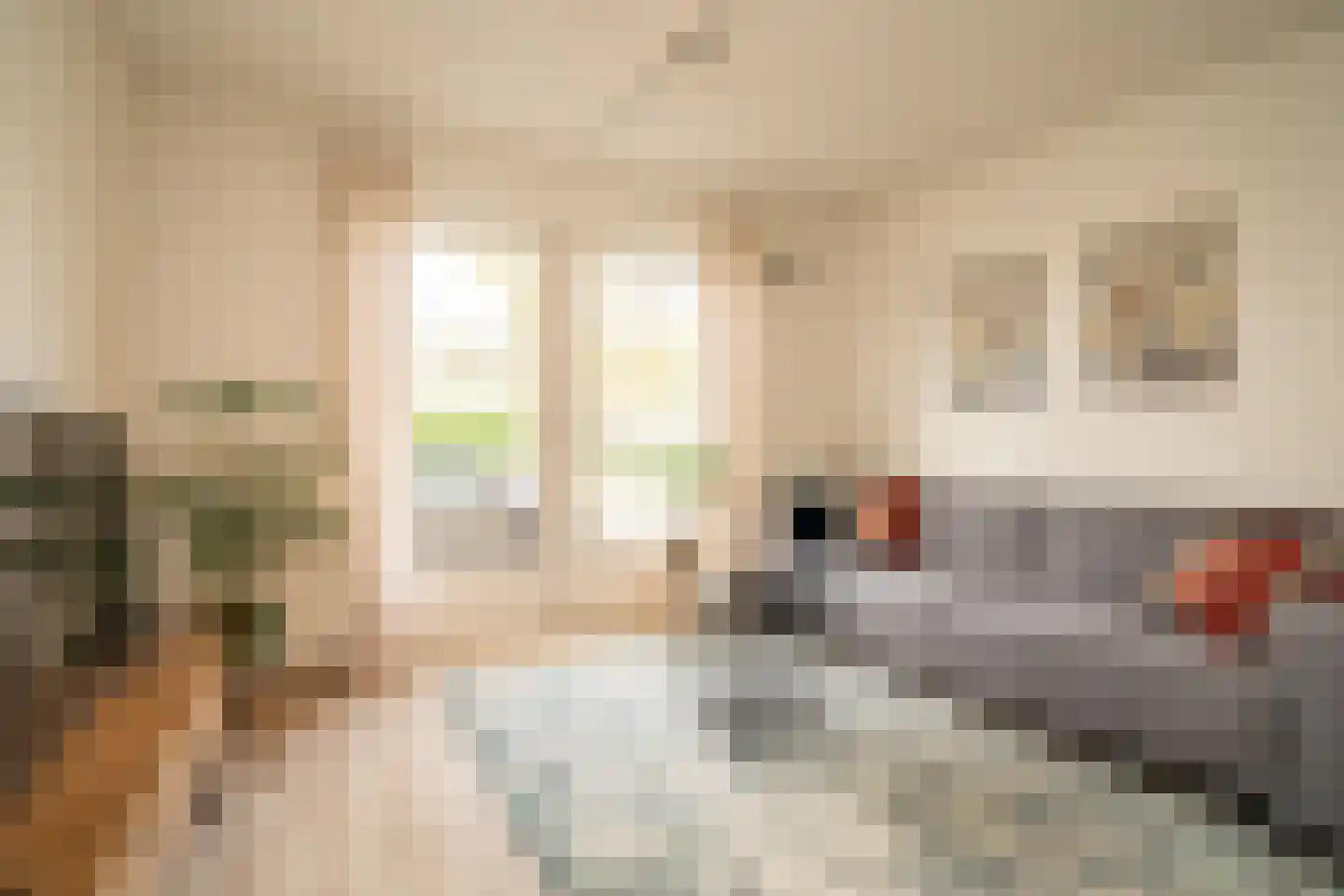 Hoge Bothofstraat 64 Enschede thumbnail 7