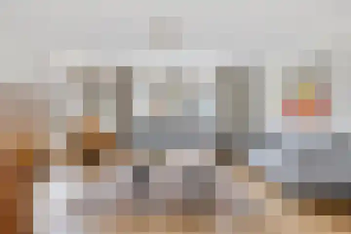 Hoge Braak 14 Halsteren thumbnail 10