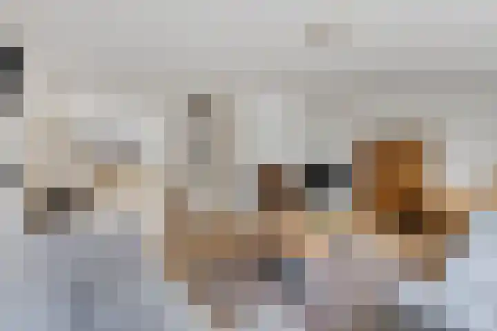 Hoge Braak 14 Halsteren thumbnail 12