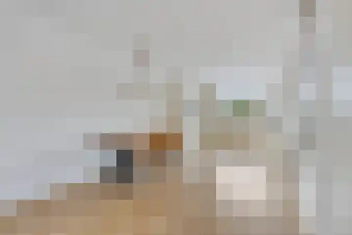Hoge Braak 14 Halsteren thumbnail 15