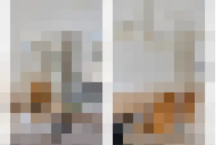 Hoge Braak 14 Halsteren thumbnail 16