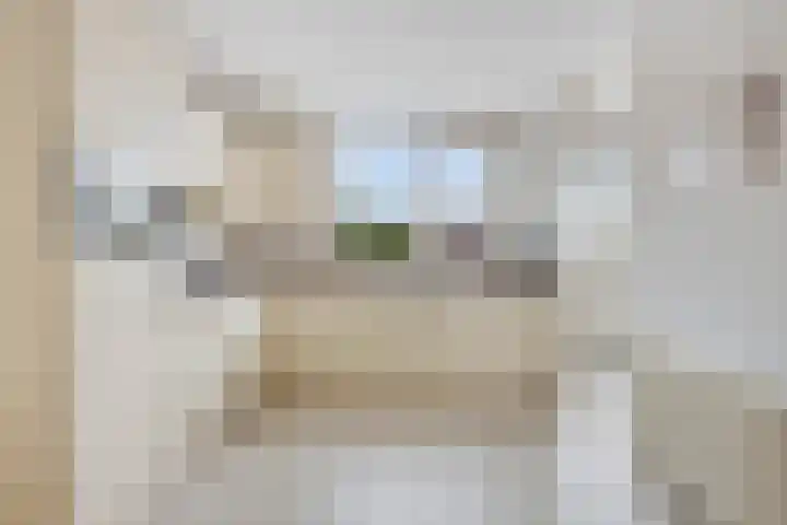Hoge Braak 14 Halsteren thumbnail 18