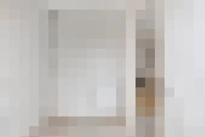 Hoge Braak 14 Halsteren thumbnail 20