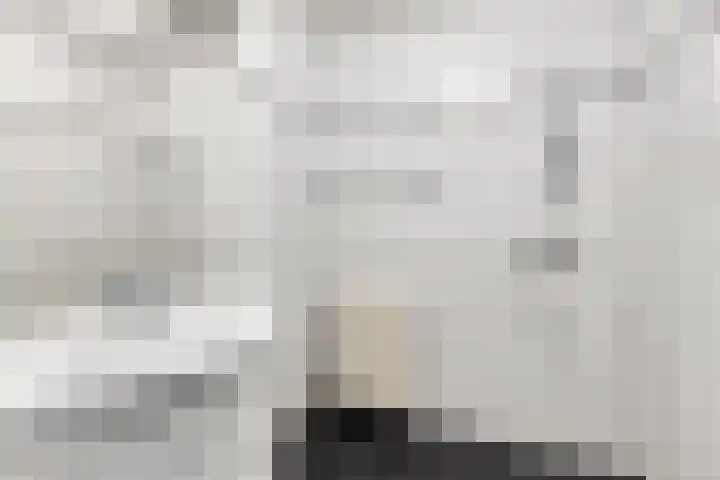 Hoge Braak 14 Halsteren thumbnail 22