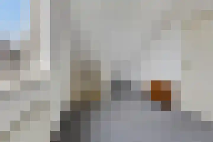 Hoge Braak 14 Halsteren thumbnail 24