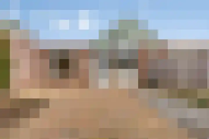 Hoge Braak 14 Halsteren thumbnail 29