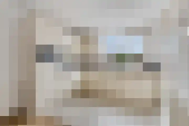 Hoge Braak 14 Halsteren foto 3