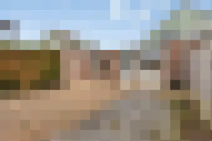 Hoge Braak 14 Halsteren thumbnail 32