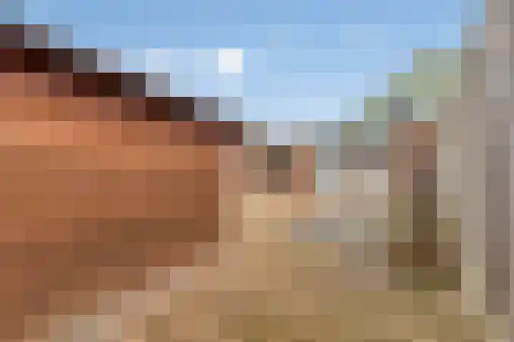 Hoge Braak 14 Halsteren thumbnail 33