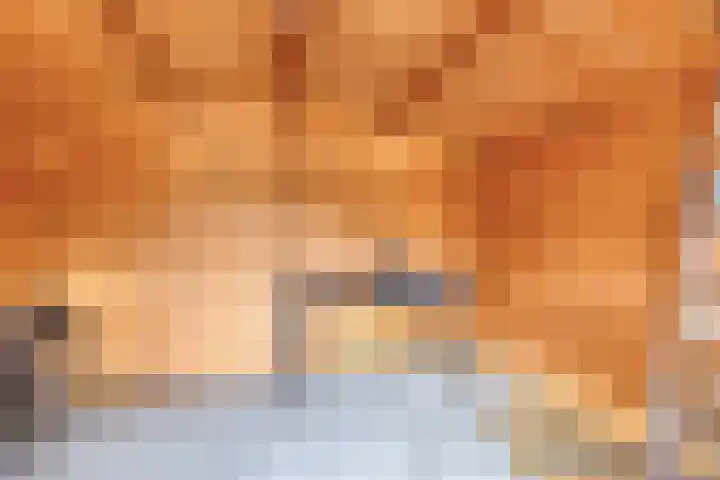 Hoge Braak 14 Halsteren thumbnail 34