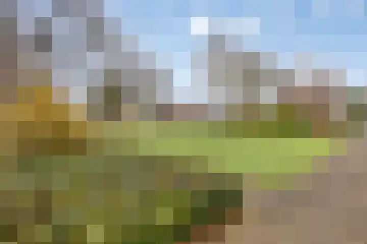 Hoge Braak 14 Halsteren thumbnail 35