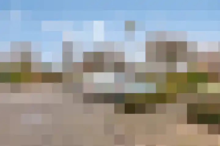Hoge Braak 14 Halsteren thumbnail 36