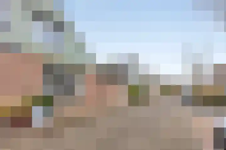 Hoge Braak 14 Halsteren thumbnail 37