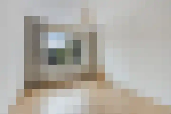 Hoge Braak 14 Halsteren thumbnail 4