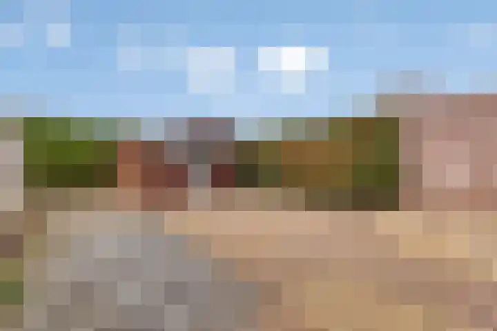 Hoge Braak 14 Halsteren thumbnail 5
