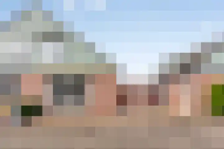 Hoge Braak 14 Halsteren thumbnail 6