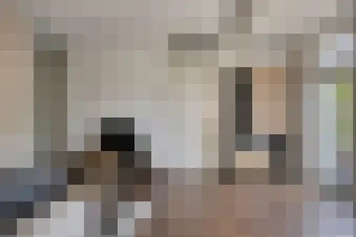Hoge Braken 1 Valkenswaard thumbnail 13