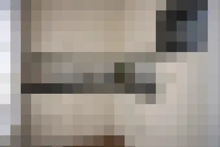 Hoge Braken 1 Valkenswaard thumbnail 16