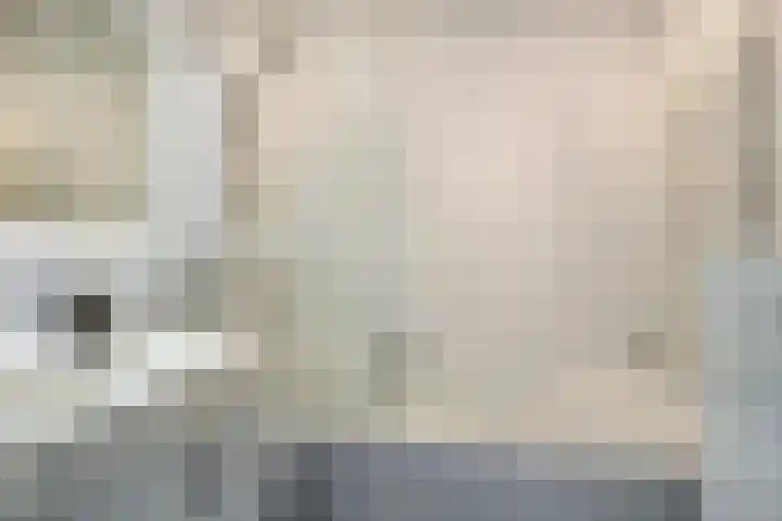 Hoge Braken 1 Valkenswaard thumbnail 20