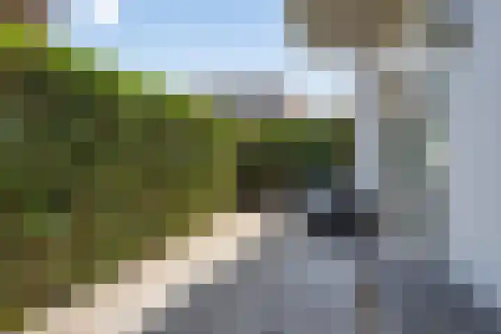 Hoge Braken 1 Valkenswaard thumbnail 23