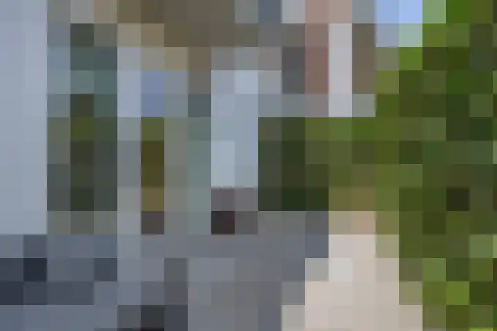 Hoge Braken 1 Valkenswaard thumbnail 24