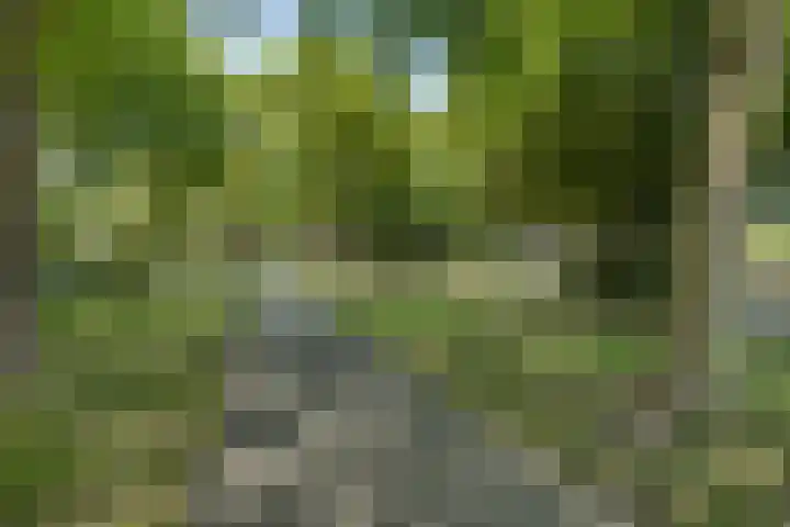 Hoge Braken 1 Valkenswaard thumbnail 28