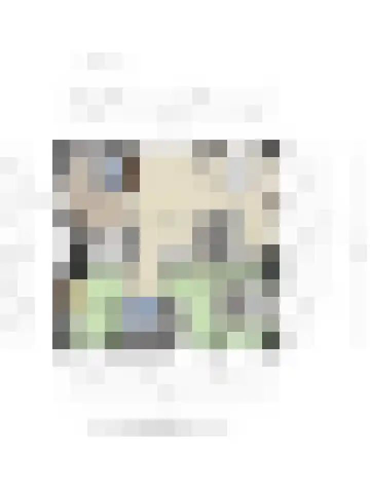 Hoge Braken 1 Valkenswaard thumbnail 29