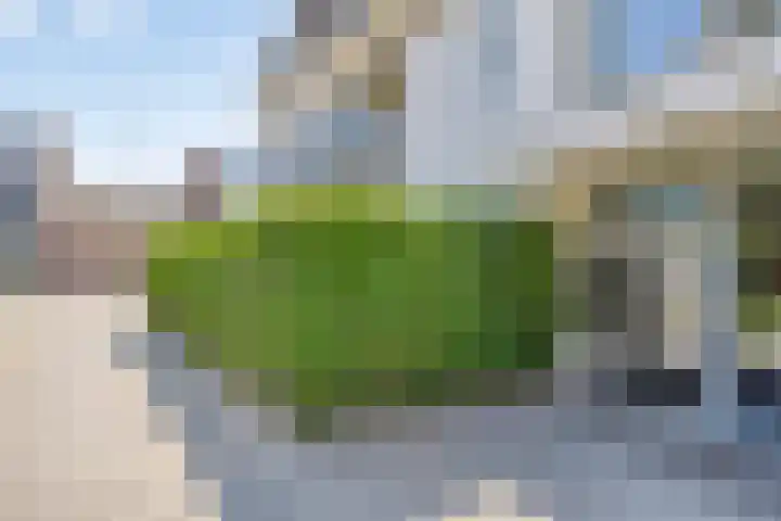 Hoge Braken 1 Valkenswaard thumbnail 7