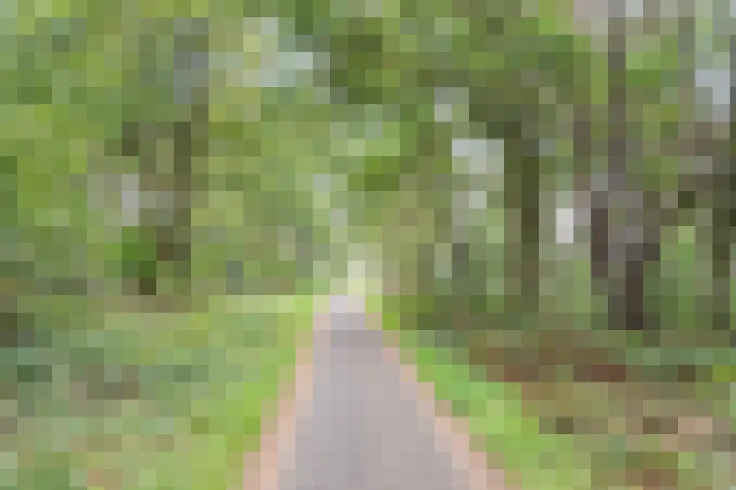 Hoge Braken 10 Valkenswaard thumbnail 33