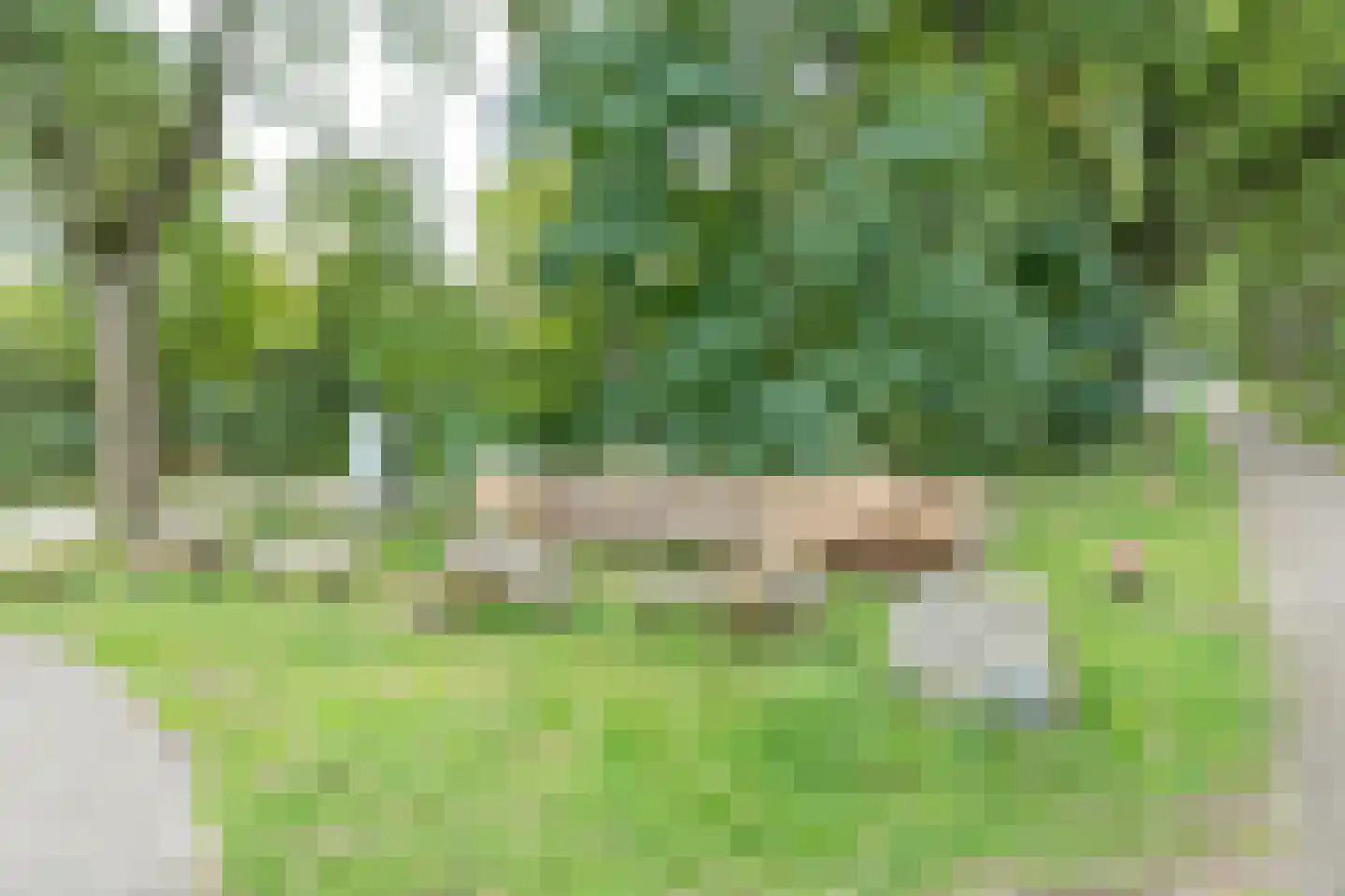 Hoge Braken 10 Valkenswaard thumbnail 34