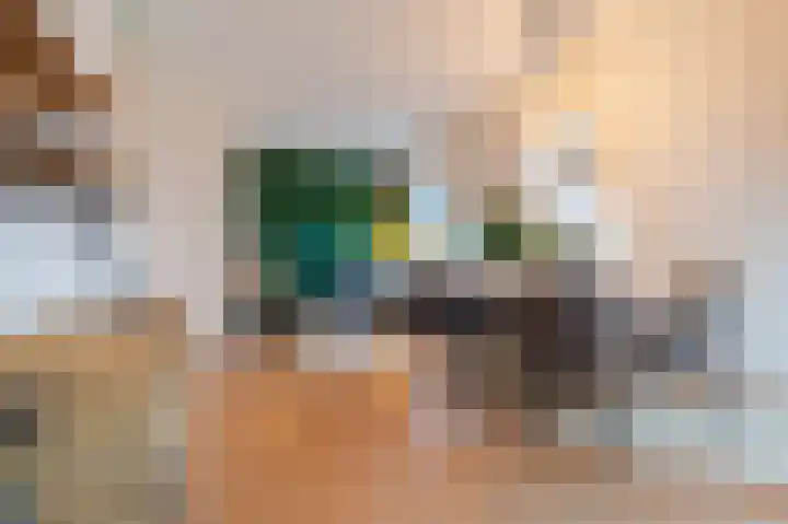 Hoge Braken 13 Valkenswaard thumbnail 18