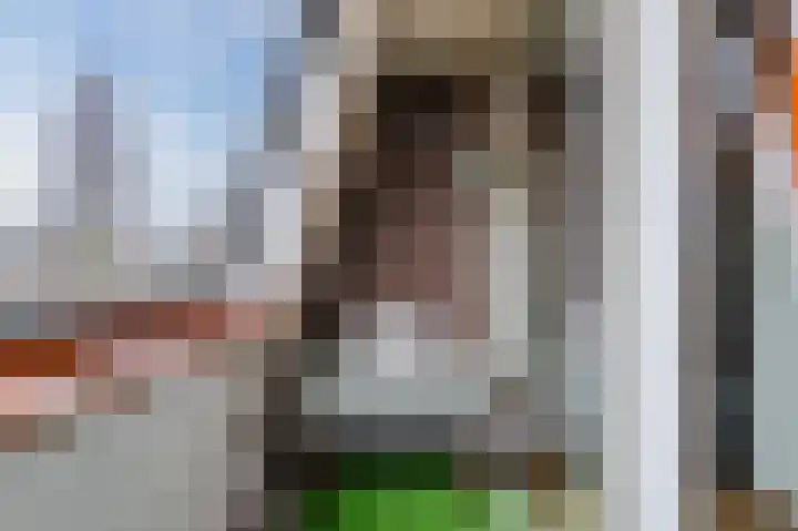 Hoge Braken 13 Valkenswaard thumbnail 33