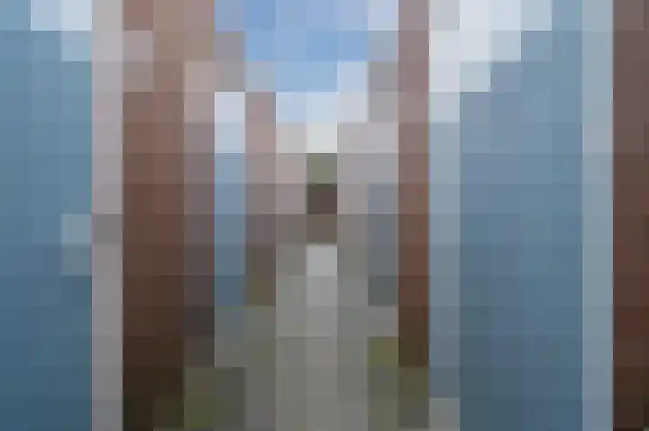Hoge Braken 13 Valkenswaard thumbnail 39