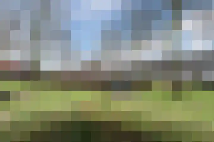 Hoge Braken 13 Valkenswaard thumbnail 41