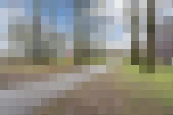 Hoge Braken 13 Valkenswaard thumbnail 42