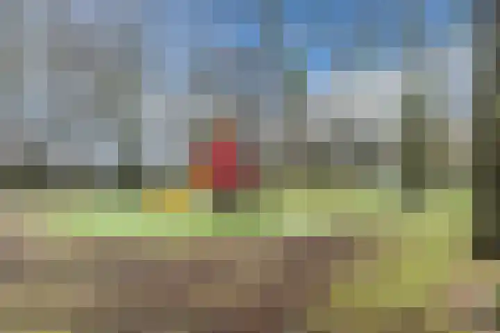 Hoge Braken 13 Valkenswaard thumbnail 43
