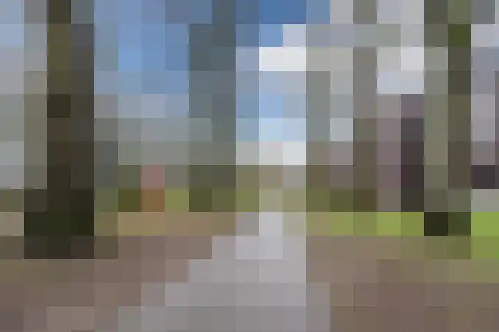 Hoge Braken 13 Valkenswaard thumbnail 46