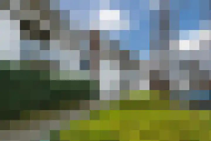 Hoge Braken 13 Valkenswaard thumbnail 7