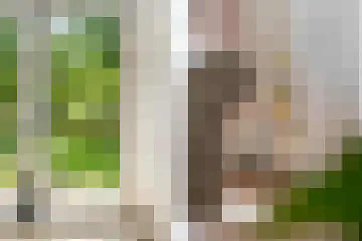 Hoge Bremberg 2 Etten-Leur thumbnail 11