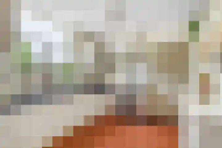 Hoge Bremberg 2 Etten-Leur thumbnail 14