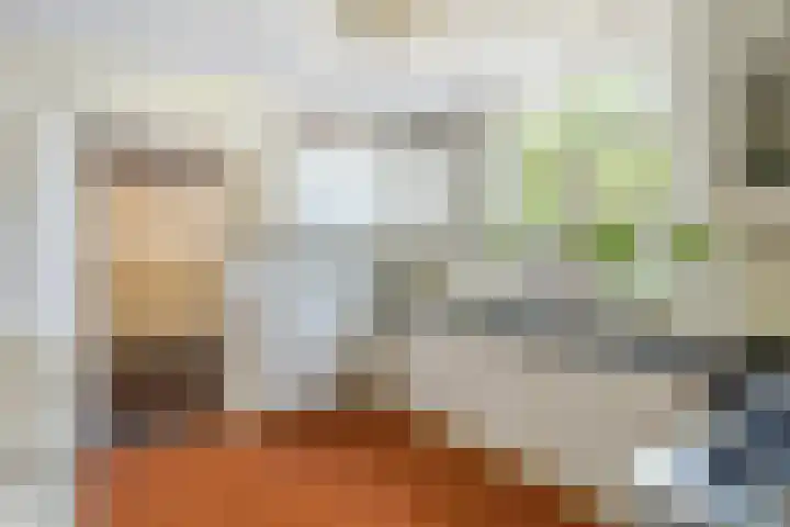 Hoge Bremberg 2 Etten-Leur thumbnail 15