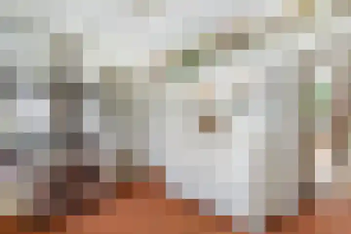 Hoge Bremberg 2 Etten-Leur thumbnail 16