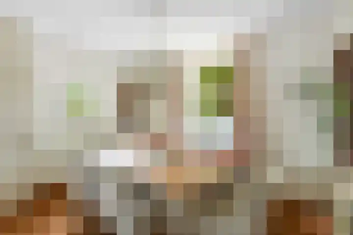 Hoge Bremberg 2 Etten-Leur thumbnail 19