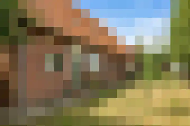 Hoge Bremberg 2 Etten-Leur foto 2