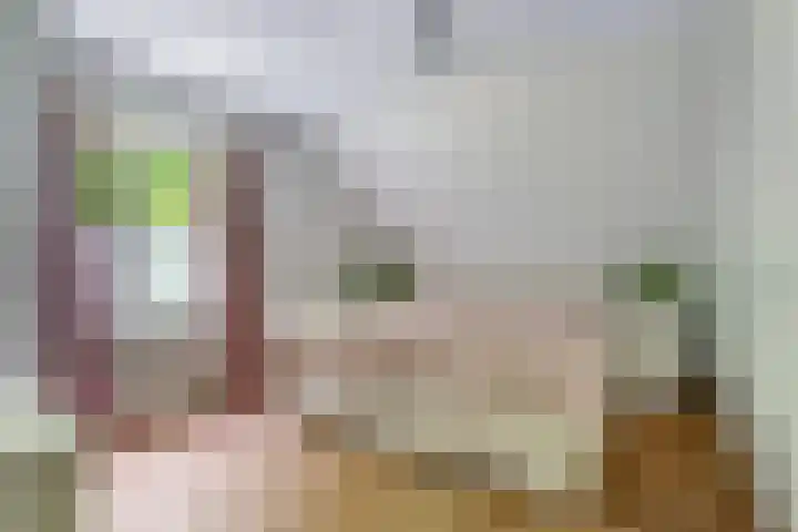 Hoge Bremberg 2 Etten-Leur thumbnail 23