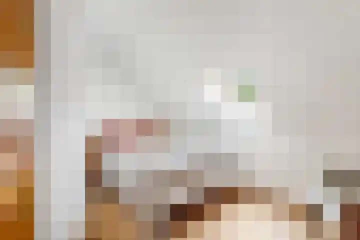 Hoge Bremberg 2 Etten-Leur thumbnail 25