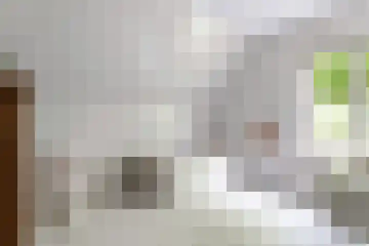 Hoge Bremberg 2 Etten-Leur thumbnail 28