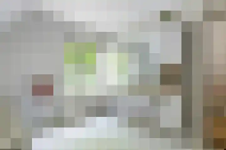 Hoge Bremberg 2 Etten-Leur thumbnail 29