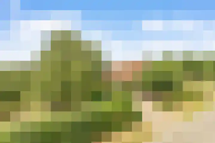 Hoge Bremberg 2 Etten-Leur thumbnail 32